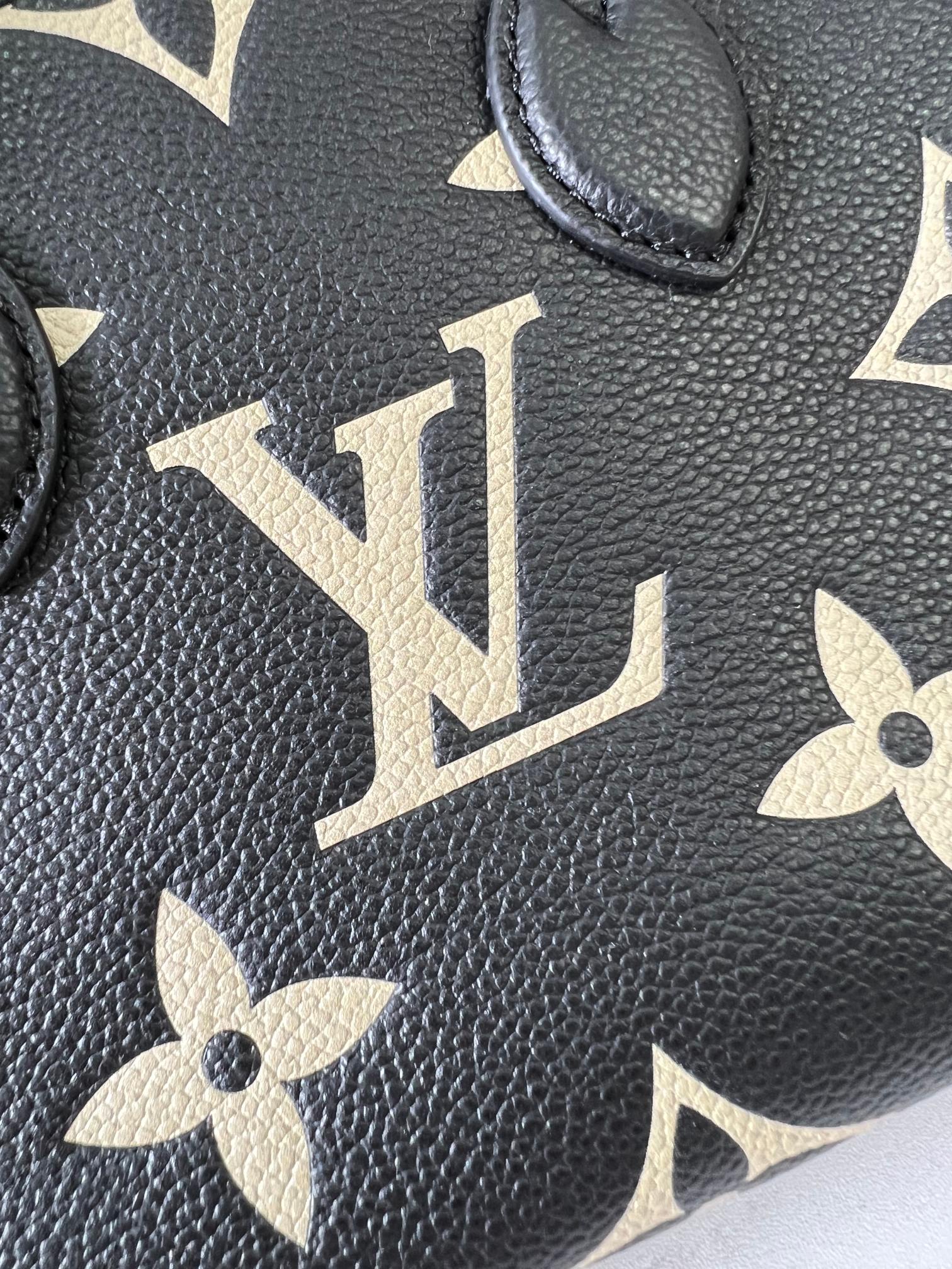 Louis Vuitton Shopping Bags